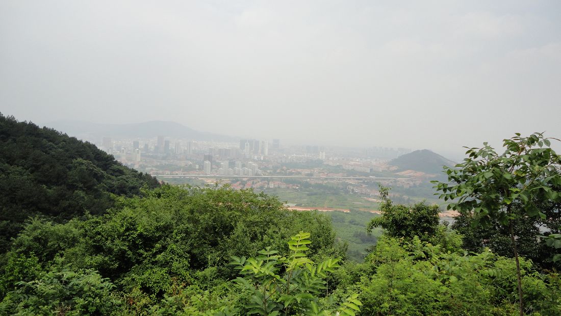 neo_img_dsc03156.jpg