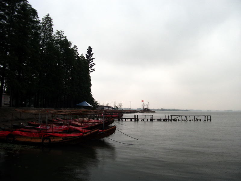 dscf1154.jpg