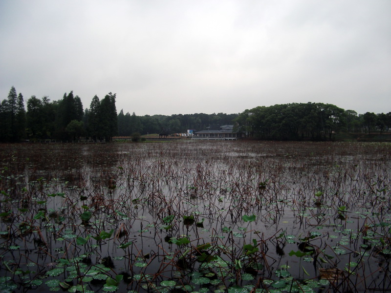 dscf1167.jpg