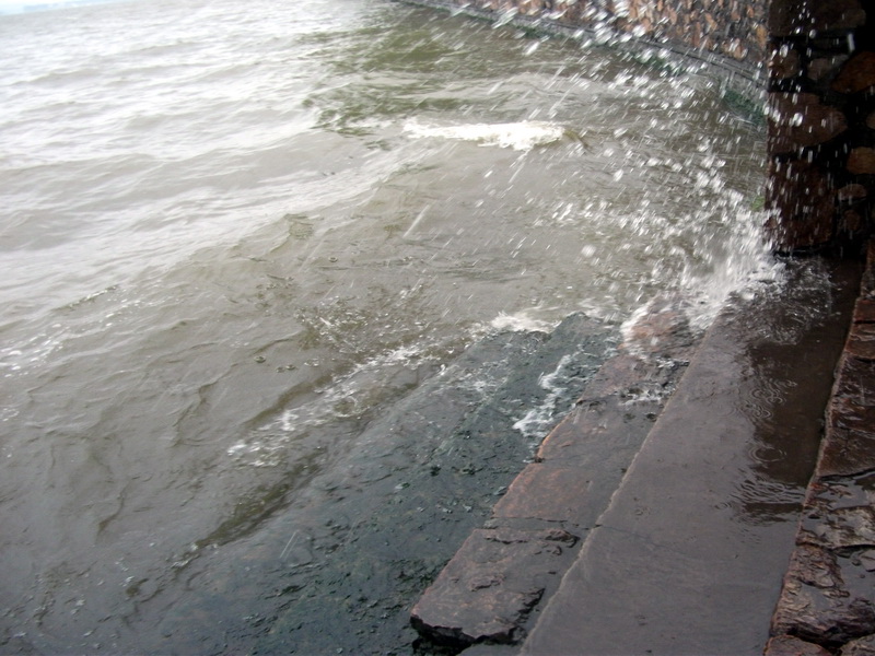 dscf1171.jpg