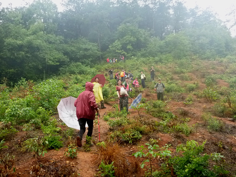 p1060896_.jpg