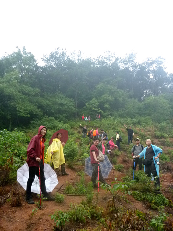 p1060897_.jpg
