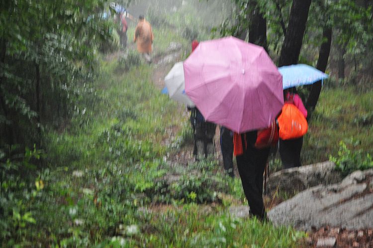 dsc_0293.jpg