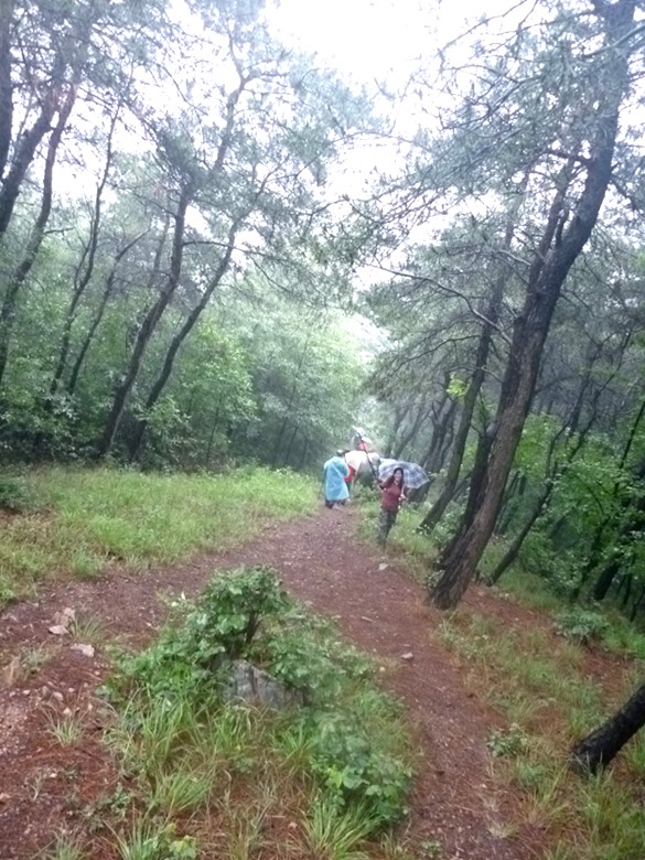 p1060877_.jpg