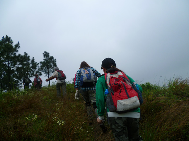 p1010860_.jpg