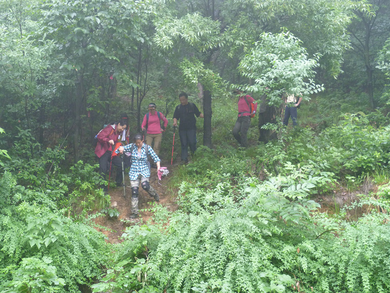 p1010883_.jpg