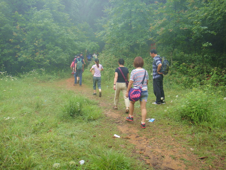 dsc00465.jpg
