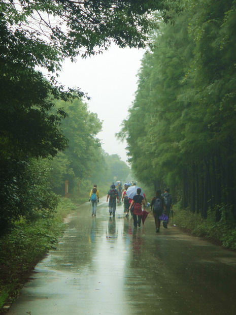dsc00519.jpg