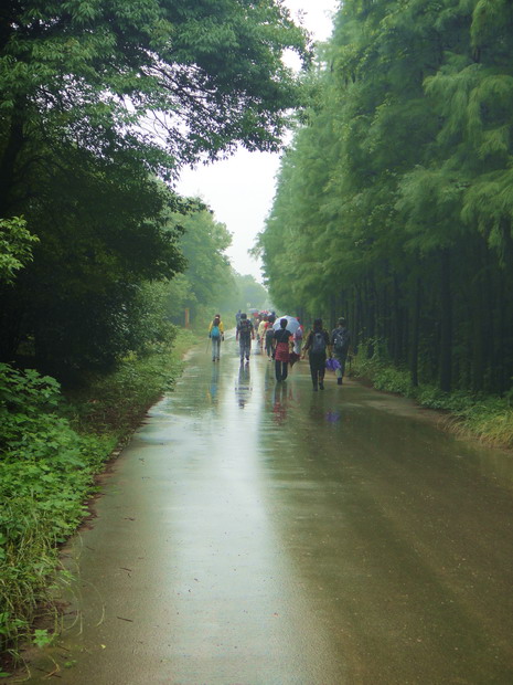 dsc00518.jpg