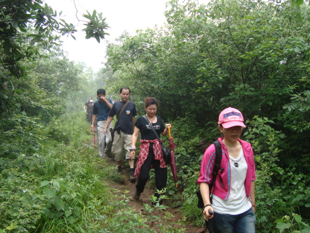 dsc02139.jpg