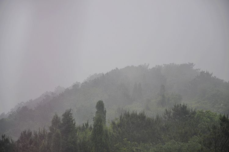 dsc_0318.jpg