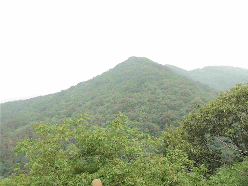 dsc04352_.jpg