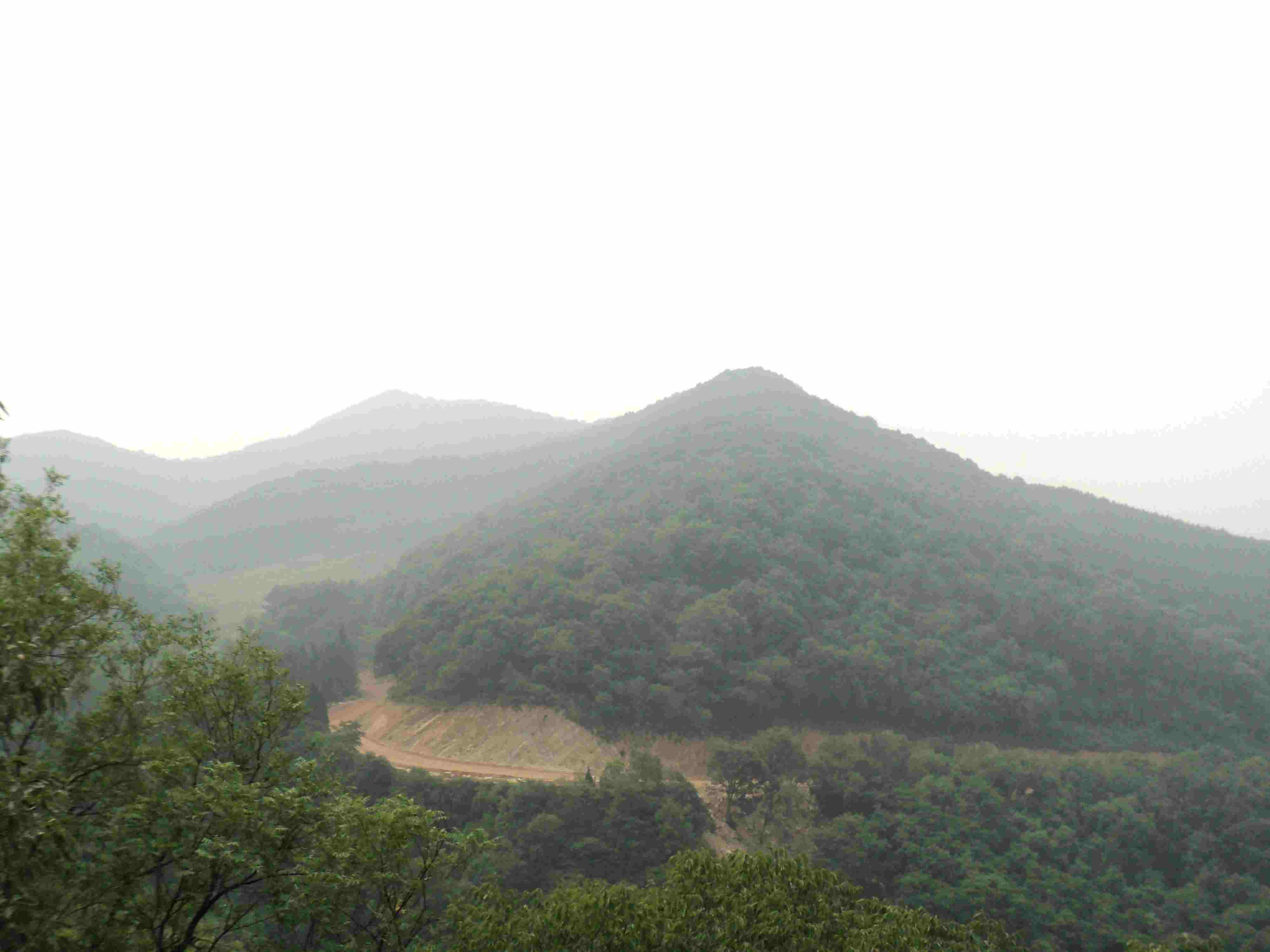 dsc04355.jpg