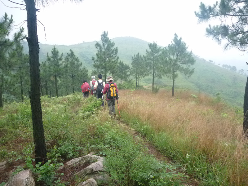p1060895_.jpg