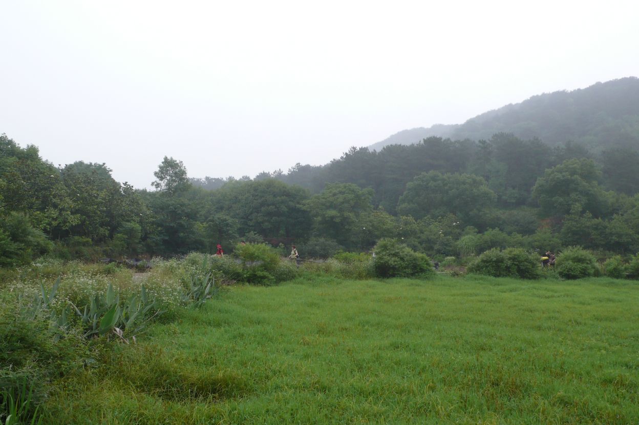 l1100610.jpg