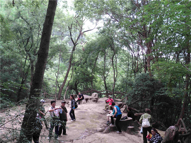 dsc04370_.jpg