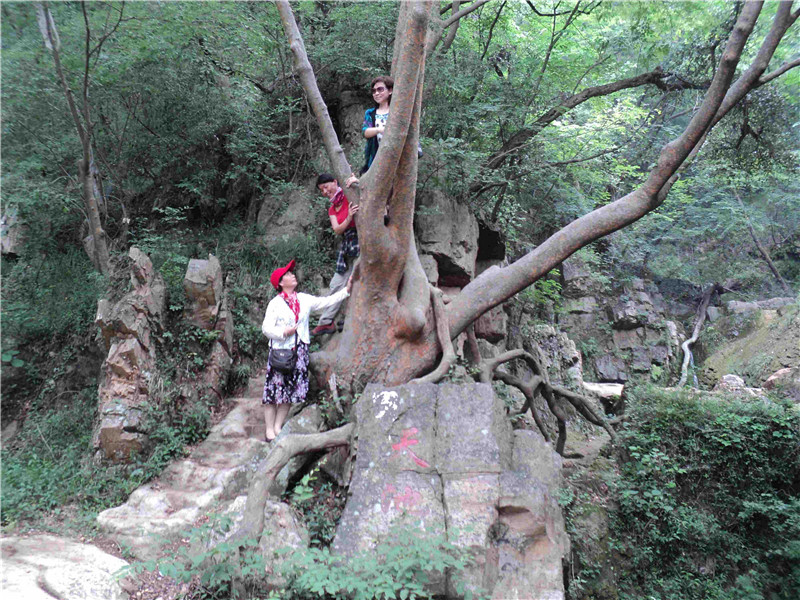 dsc04374_.jpg