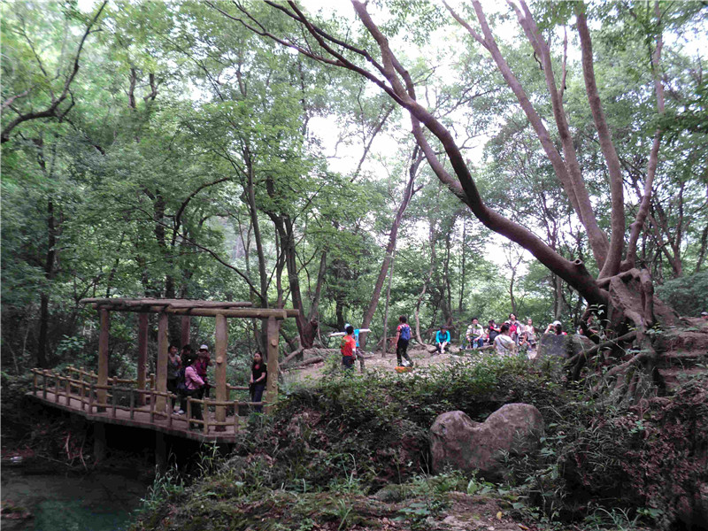 dsc04379_.jpg