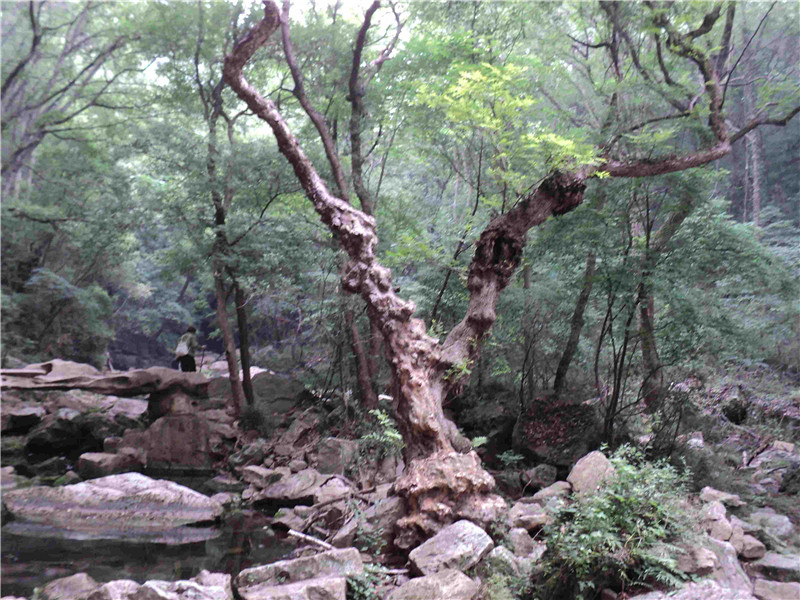dsc04384_.jpg