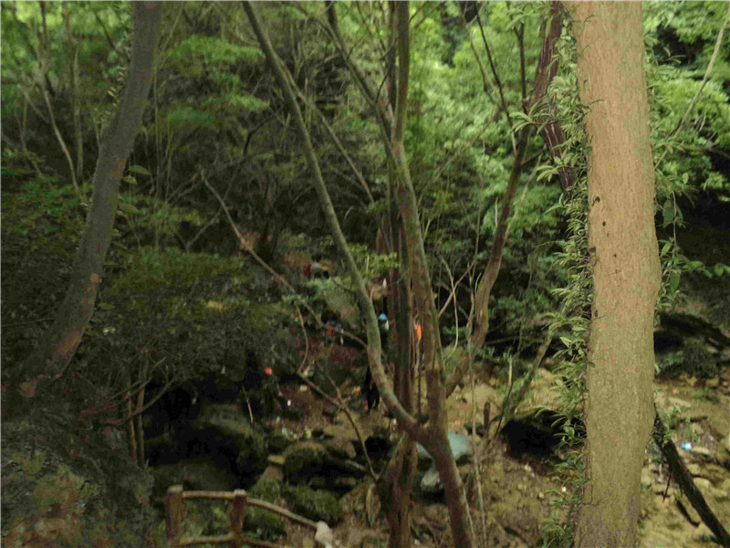 dsc04400_.jpg