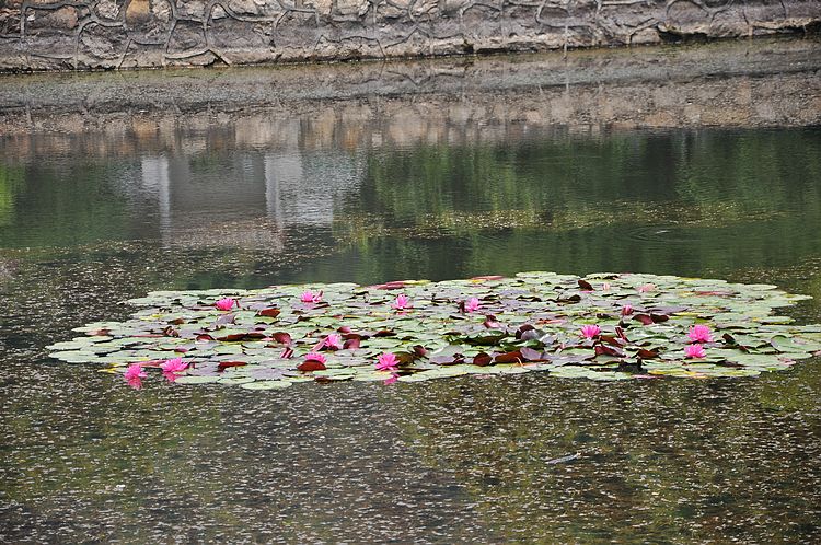 dsc_0232.jpg