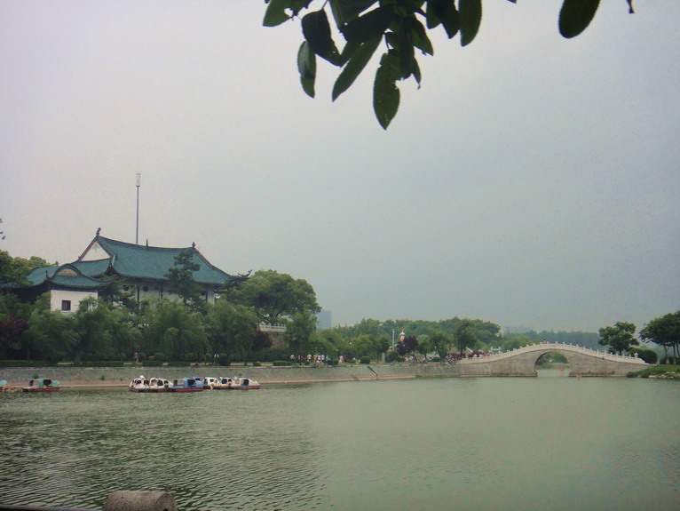 dsc00665.jpg