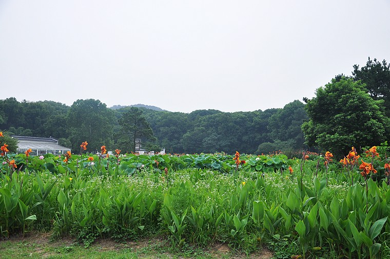 dsc_1464.jpg