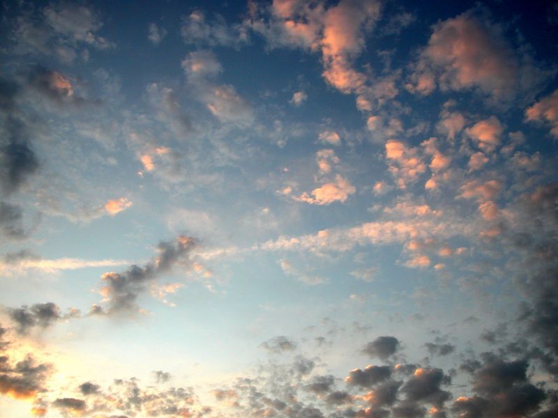 dscn2712.jpg