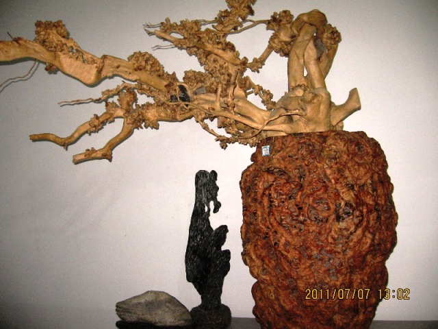 img_8735.jpg