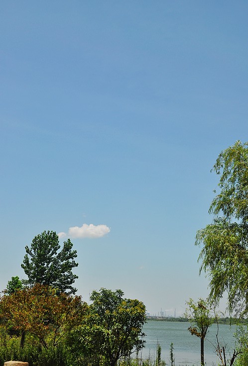 dsc_1390.jpg