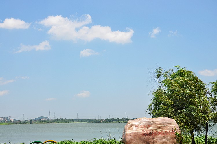dsc_1361.jpg