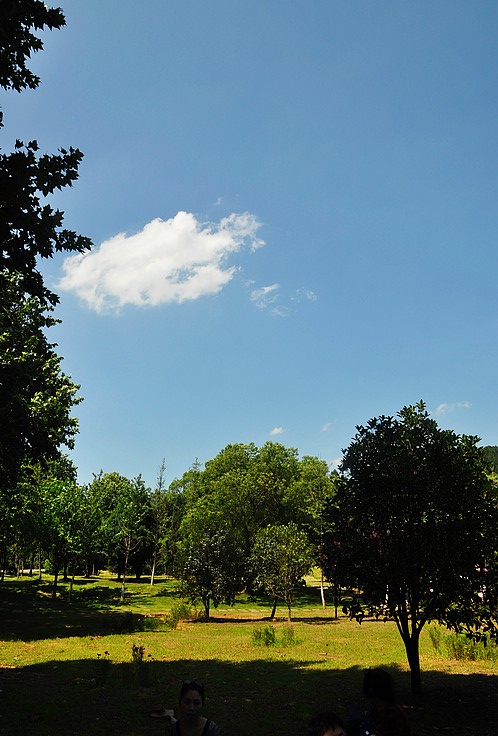 dsc_1419.jpg
