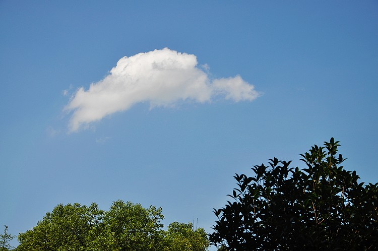 dsc_1422.jpg