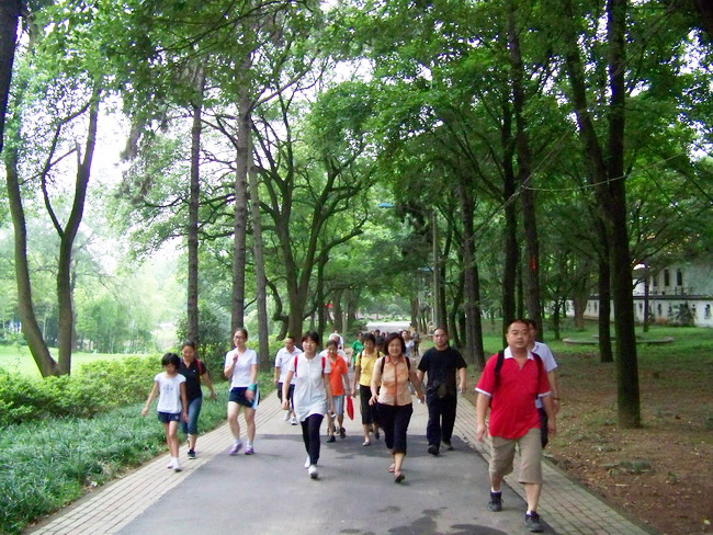 100_4849.jpg
