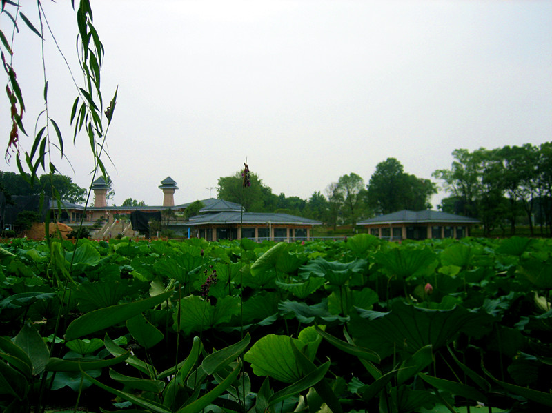 img_1060_10.jpg