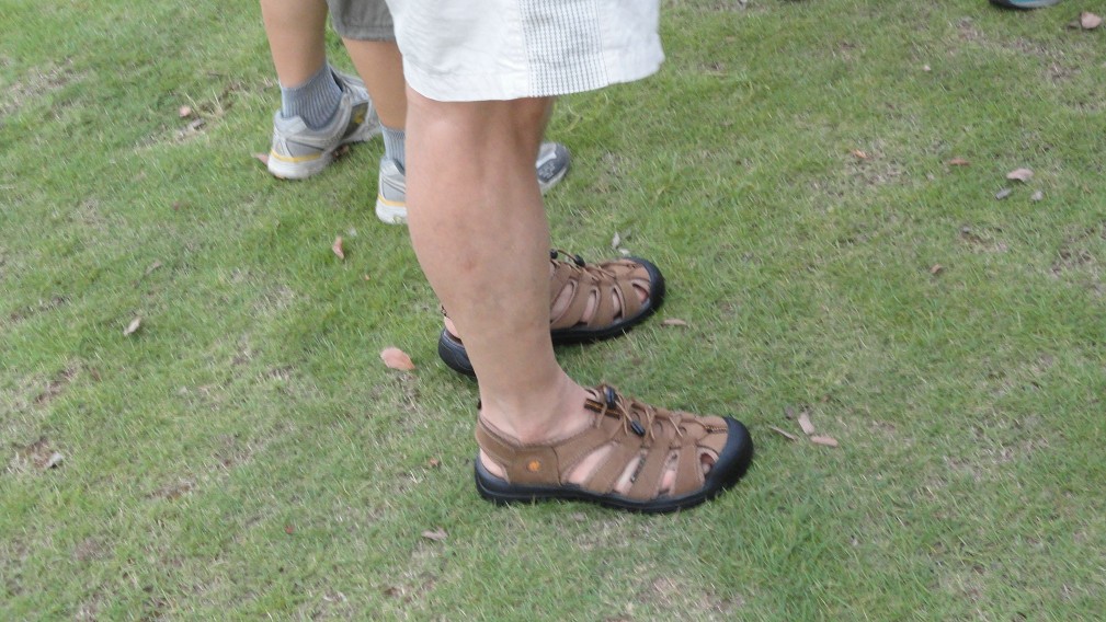 δ.jpg