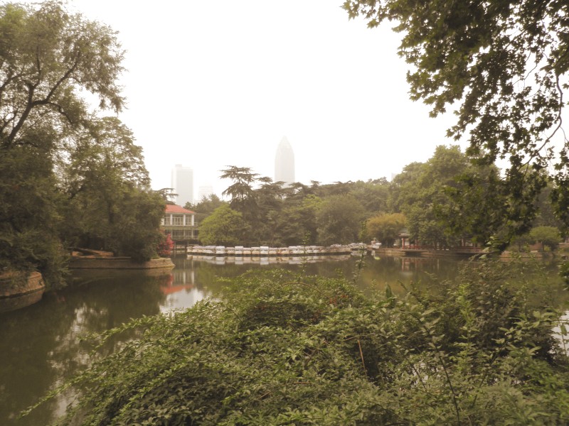 conew_p7140177.jpg