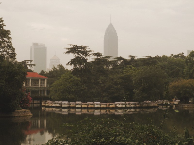 conew_p7140179.jpg