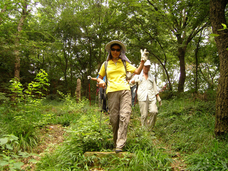  snc10130.jpg