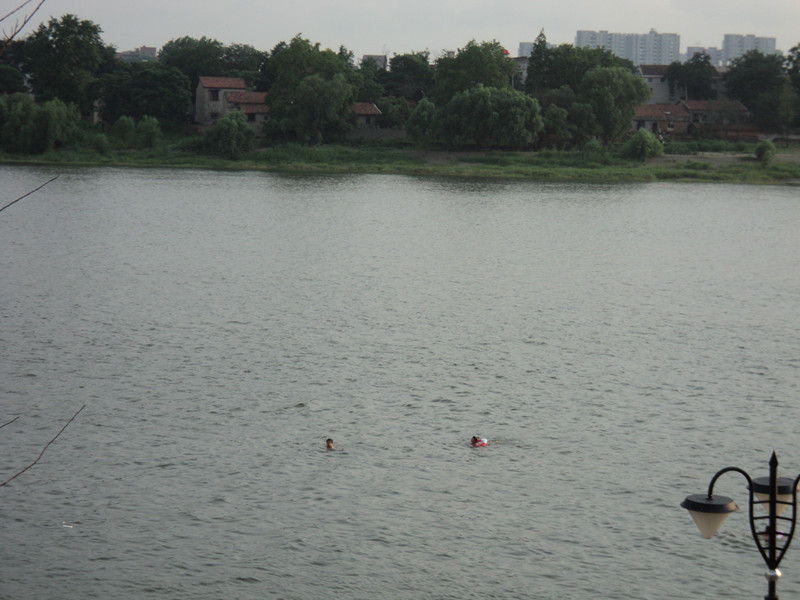 dsc04784_.jpg