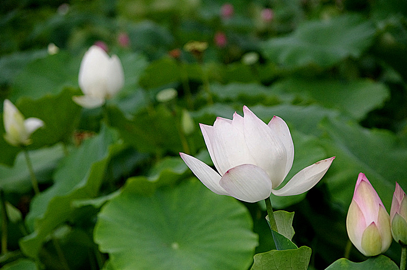 imgp0423_.jpg