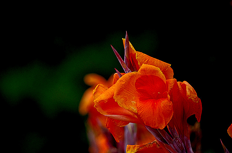 imgp0439_.jpg