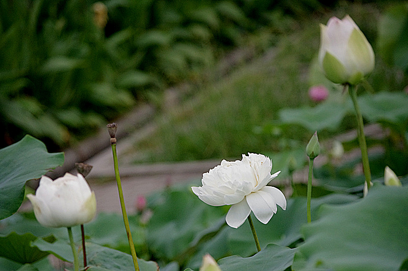 imgp0442_.jpg