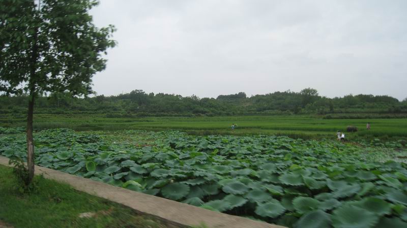 С 201171617 064.jpg