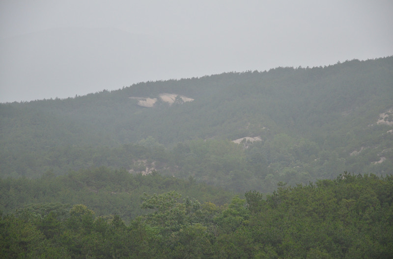 dsc_1545_.jpg