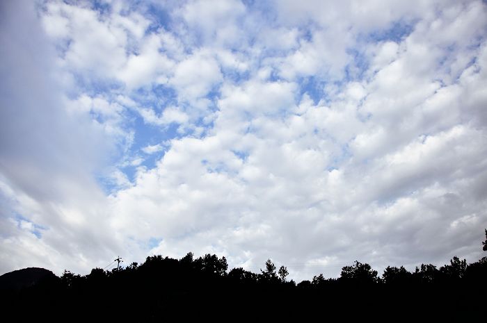 dsc_0177.jpg