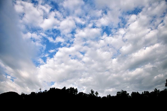 dsc_0178.jpg