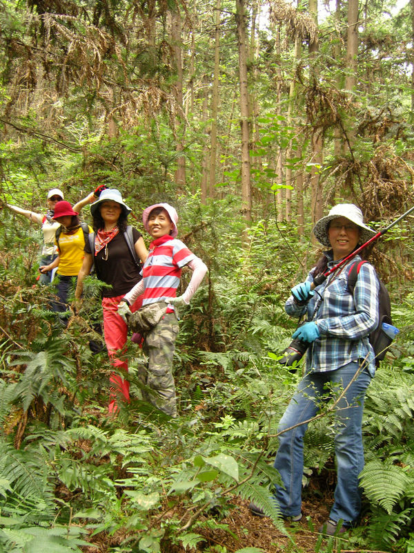 snc10081.jpg