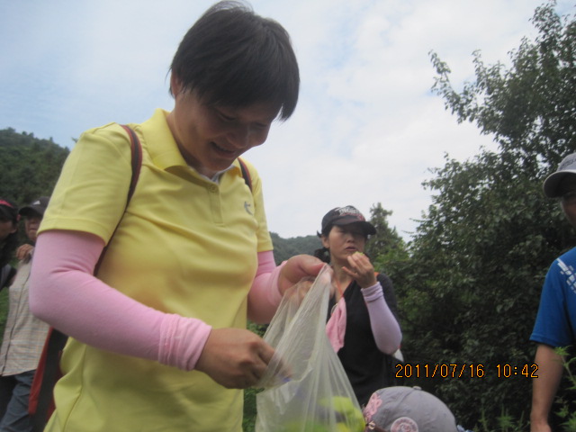 img_6534.jpg