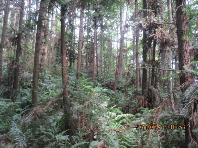 img_6548.jpg